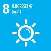 Fluorescens Fluorescens