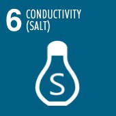 Salt Salt